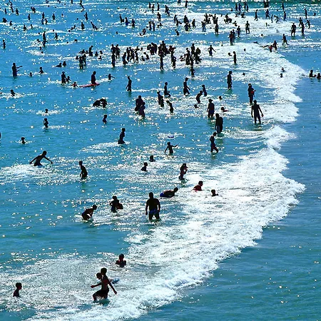 아파트 Vicenco Location