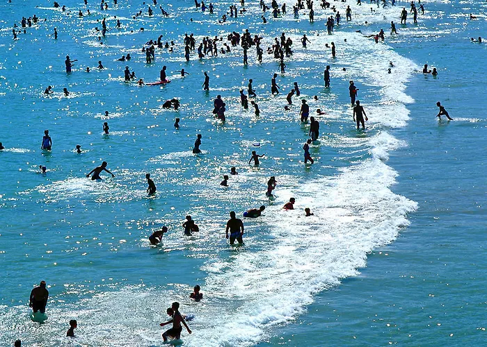 Apartman Vicenco Location